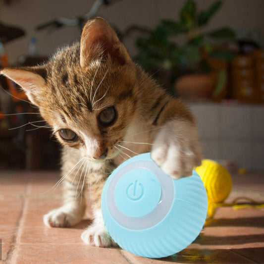 Smart Cat Toy
